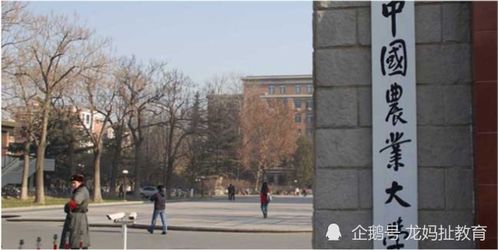 重慶迎五所雙一流大學布局，含兩所985高校南京環(huán)保工程校區(qū)